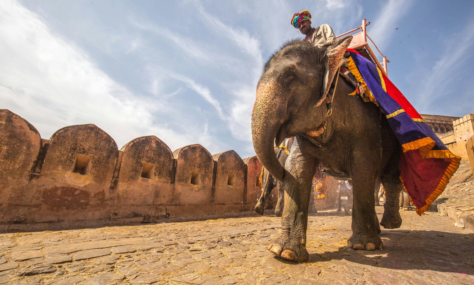 Golden Triangle Tour